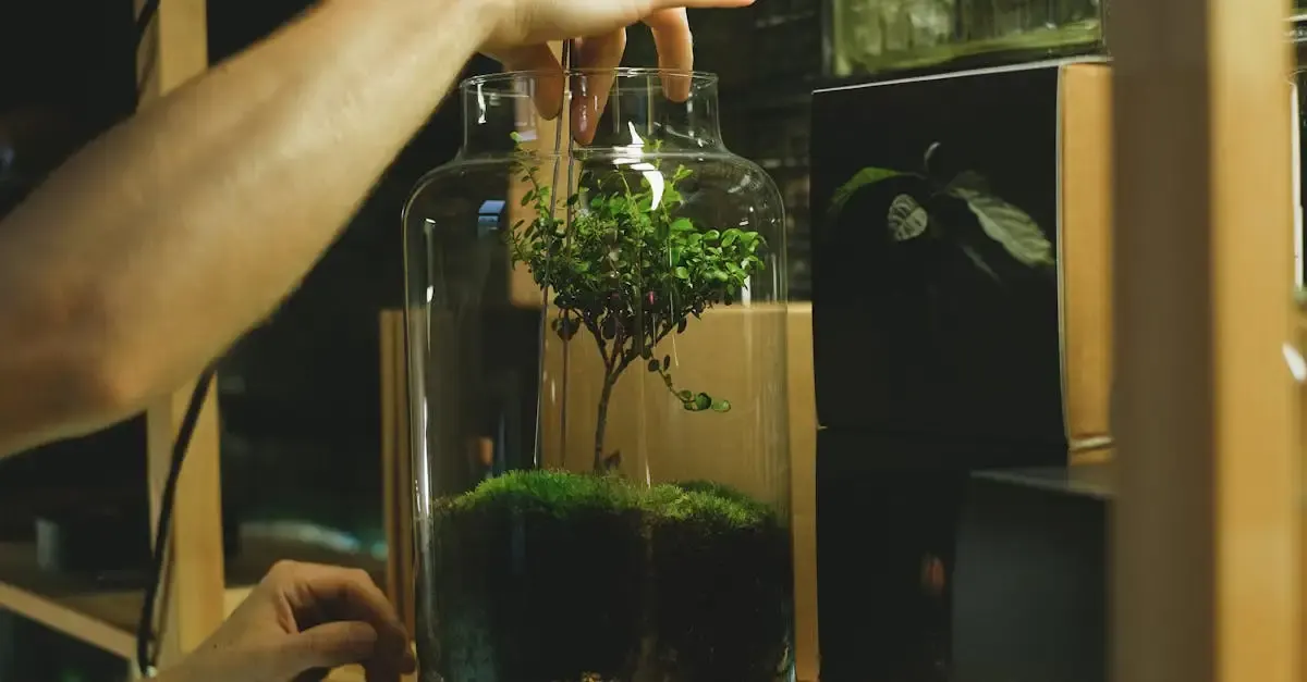 Garten im glas anleitung