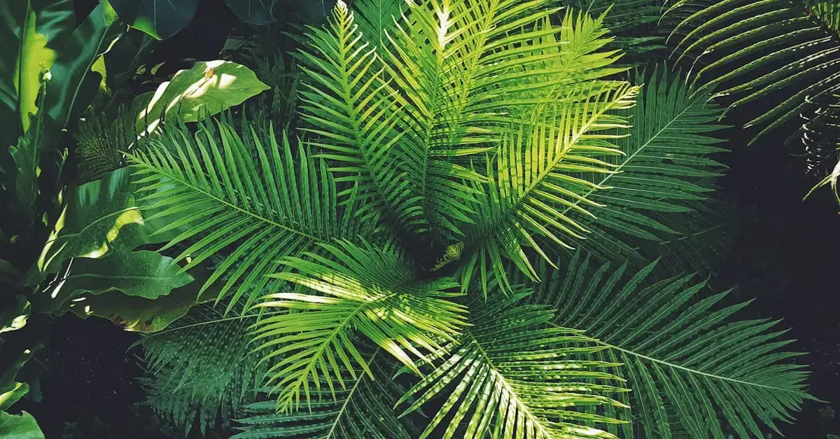 Botanischer berlin garten