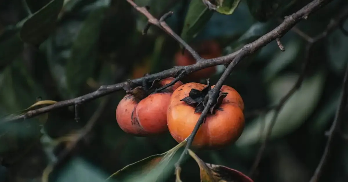 Bewertung Sondernutzungsrecht Garten: Wert berechnen