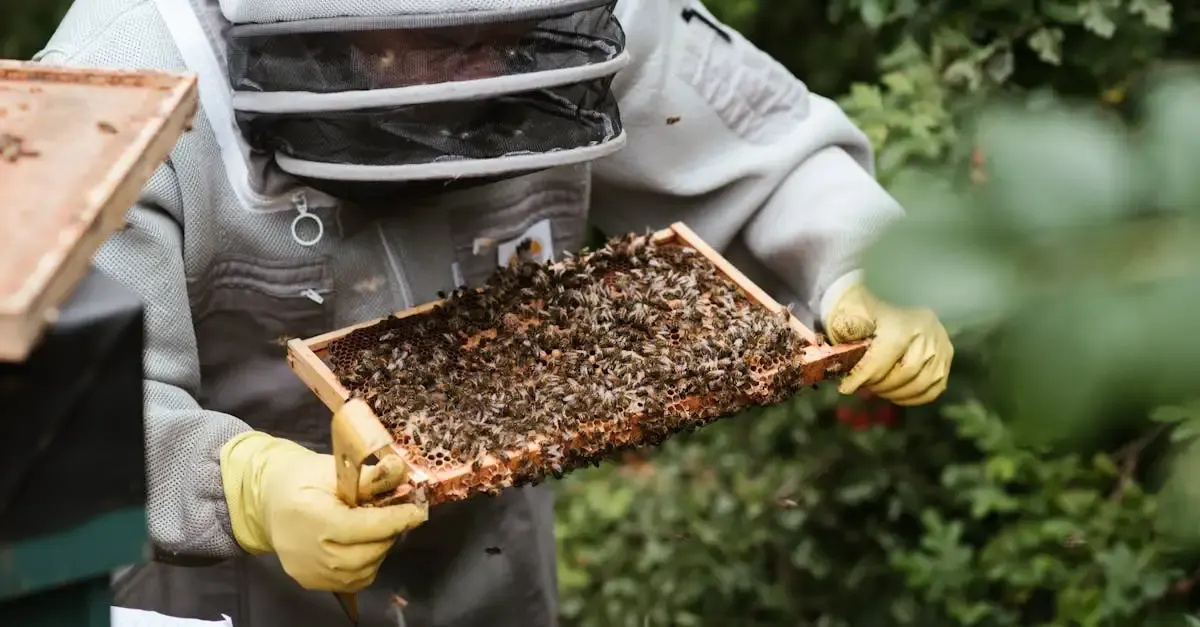 Bienennest im garten