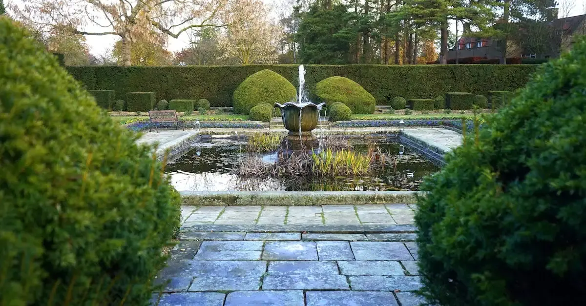 Garten bronder efeuhecke