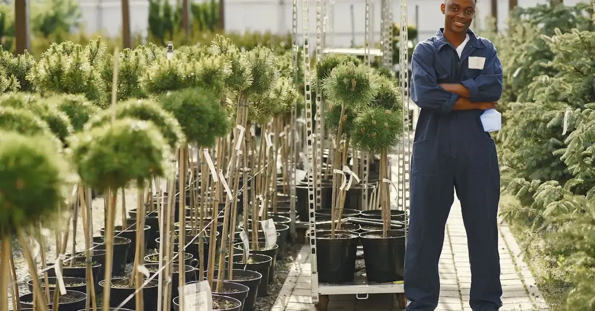 Garten- und Landschaftsbau Unternehmen: Ihr Experte