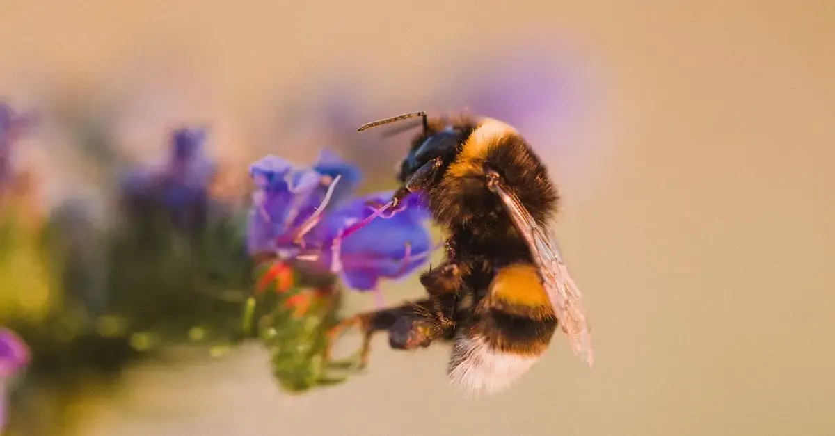 Garten Landschaftsbauer Dortmund: Ihr Experte für
