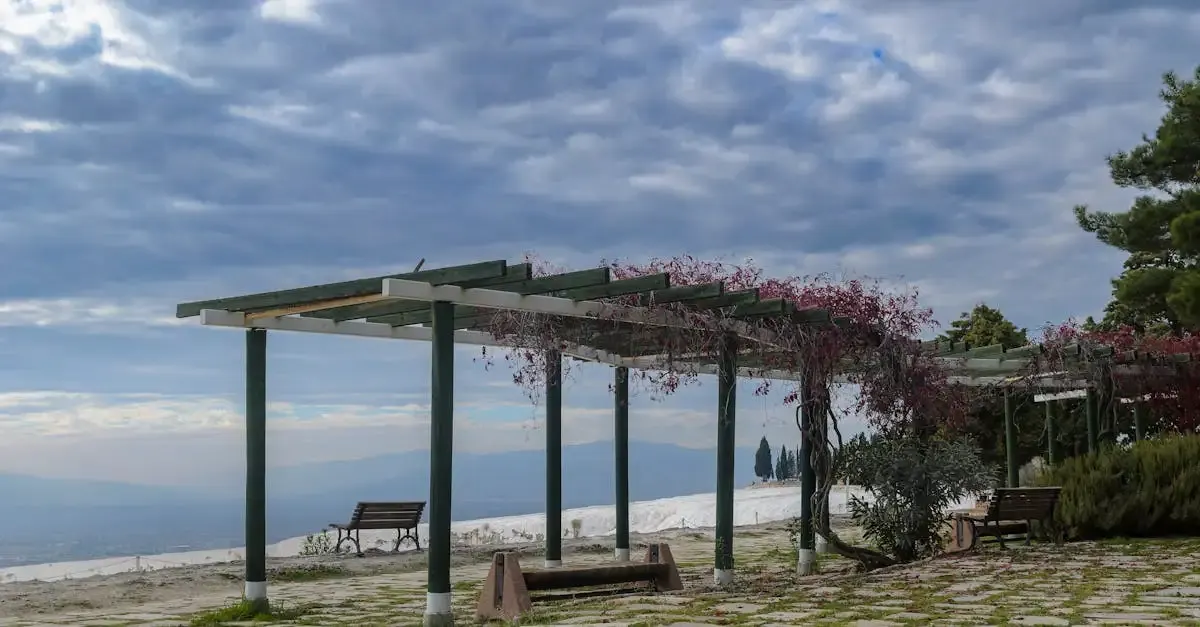 Garten Überdachung & Pergola: Ideen für Ihr Outdoor-Wohnzimmer