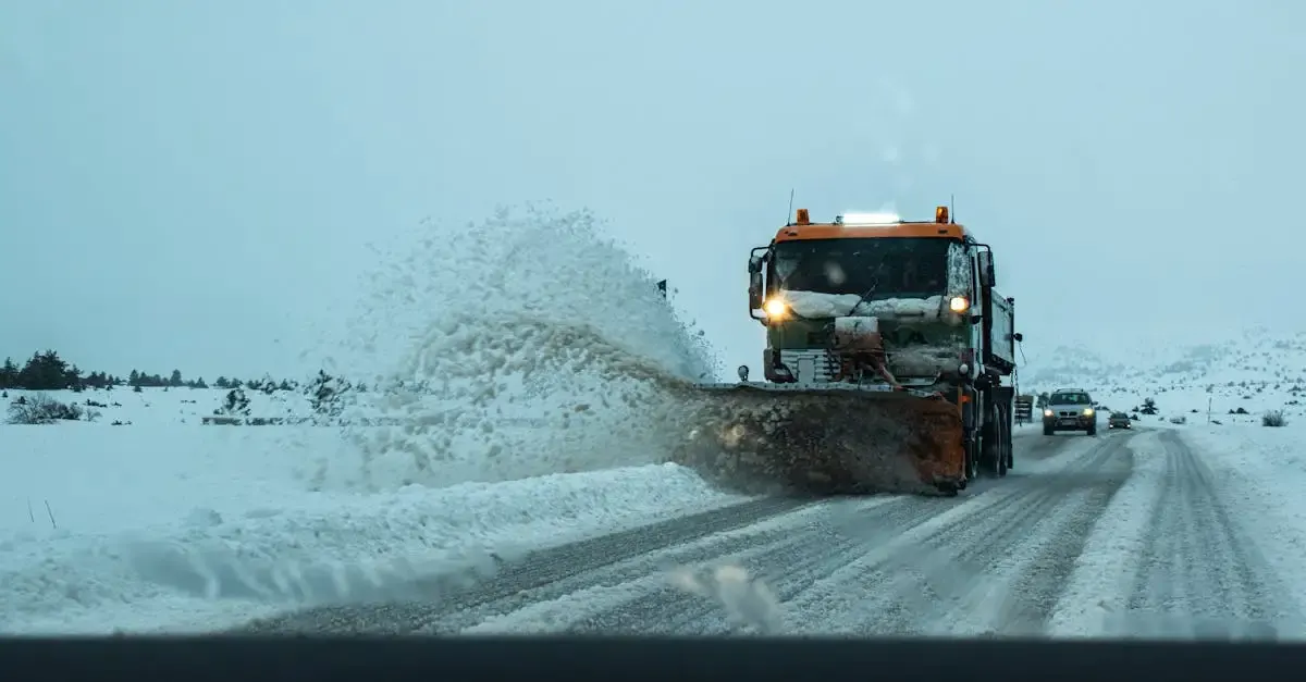 Garten- und Landschaftsbau: Ihr Winterdienst-Experte