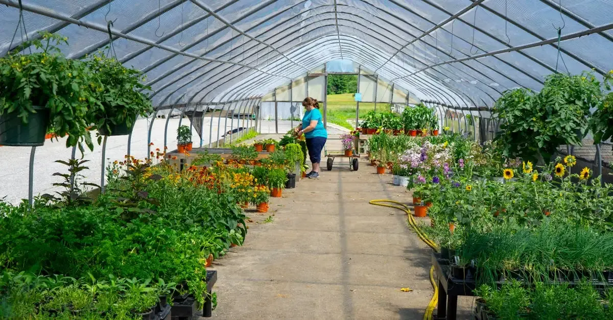 Ihr Gartenunternehmen: Professionelle Gartengestaltung und