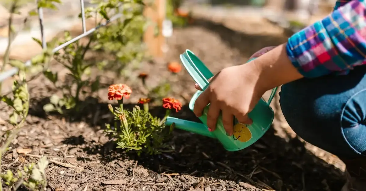 Garten richtig pflegen