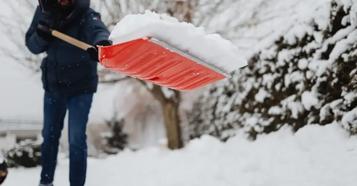 Garten und winterdienst