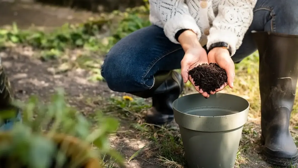 Putting grün garten