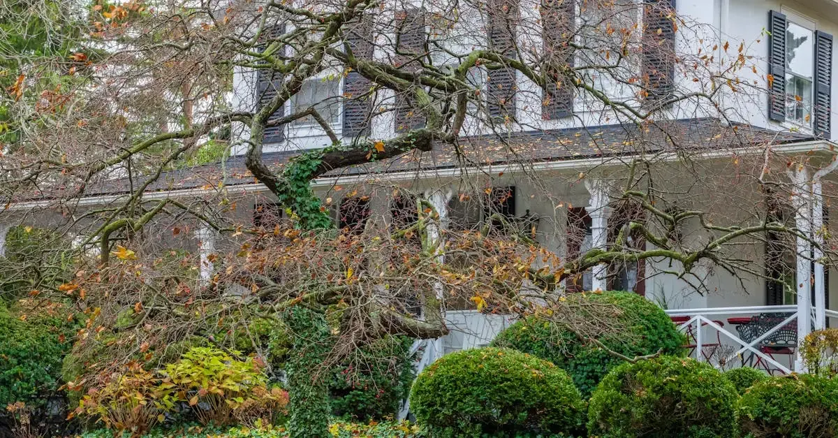 Haus mit garten in köln