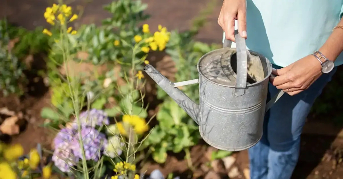 Professioneller Hausmeisterservice für Gartenpflege und mehr