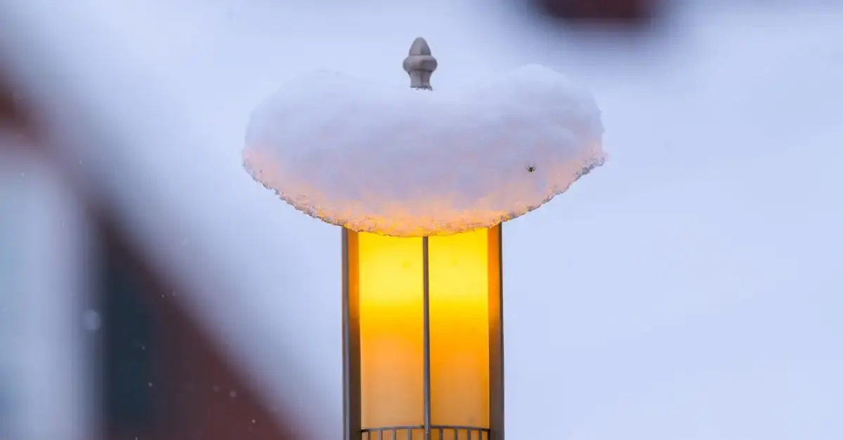 Winter garten