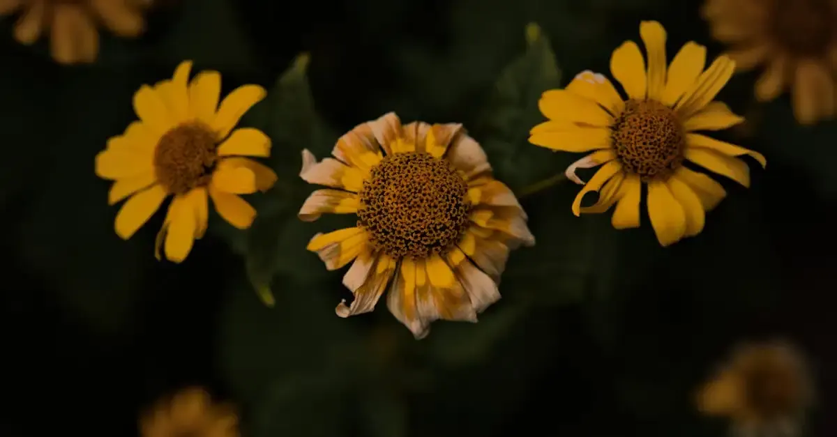 Berlin botanische garten
