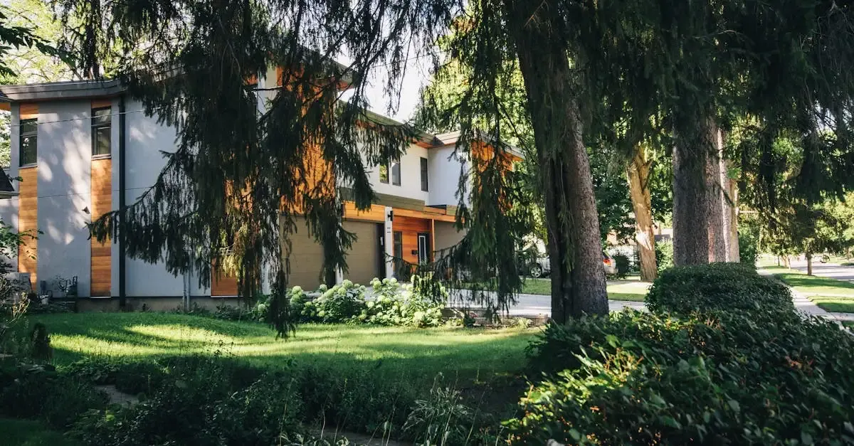 Garten alternative zu rasen