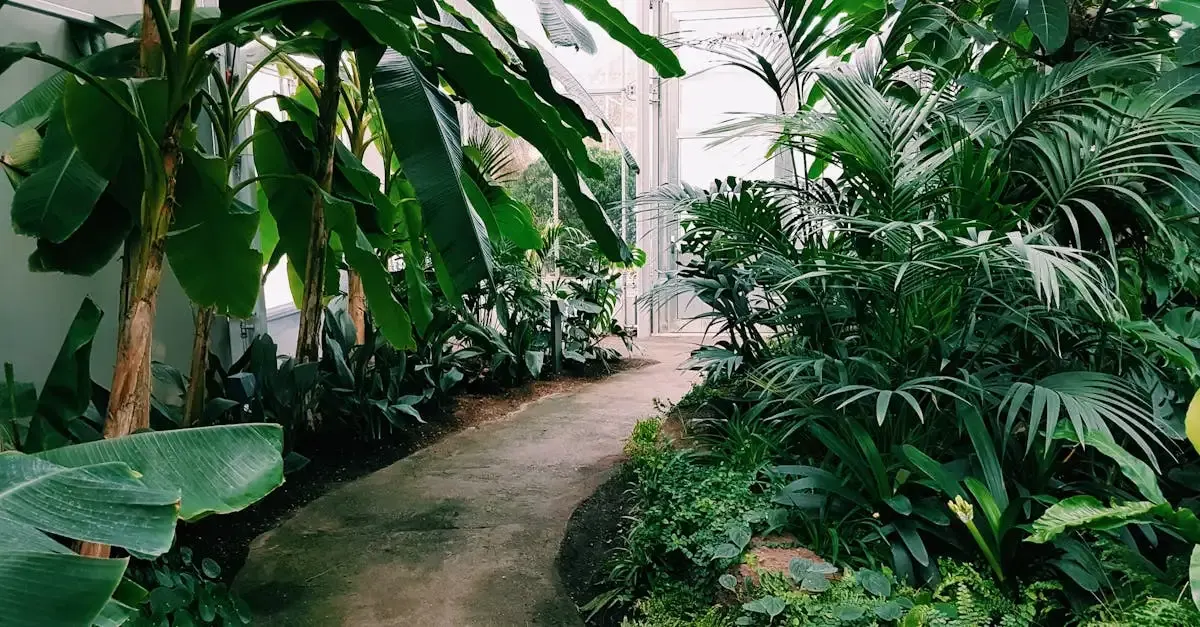 Garten und landschaftsbau berlin zehlendorf