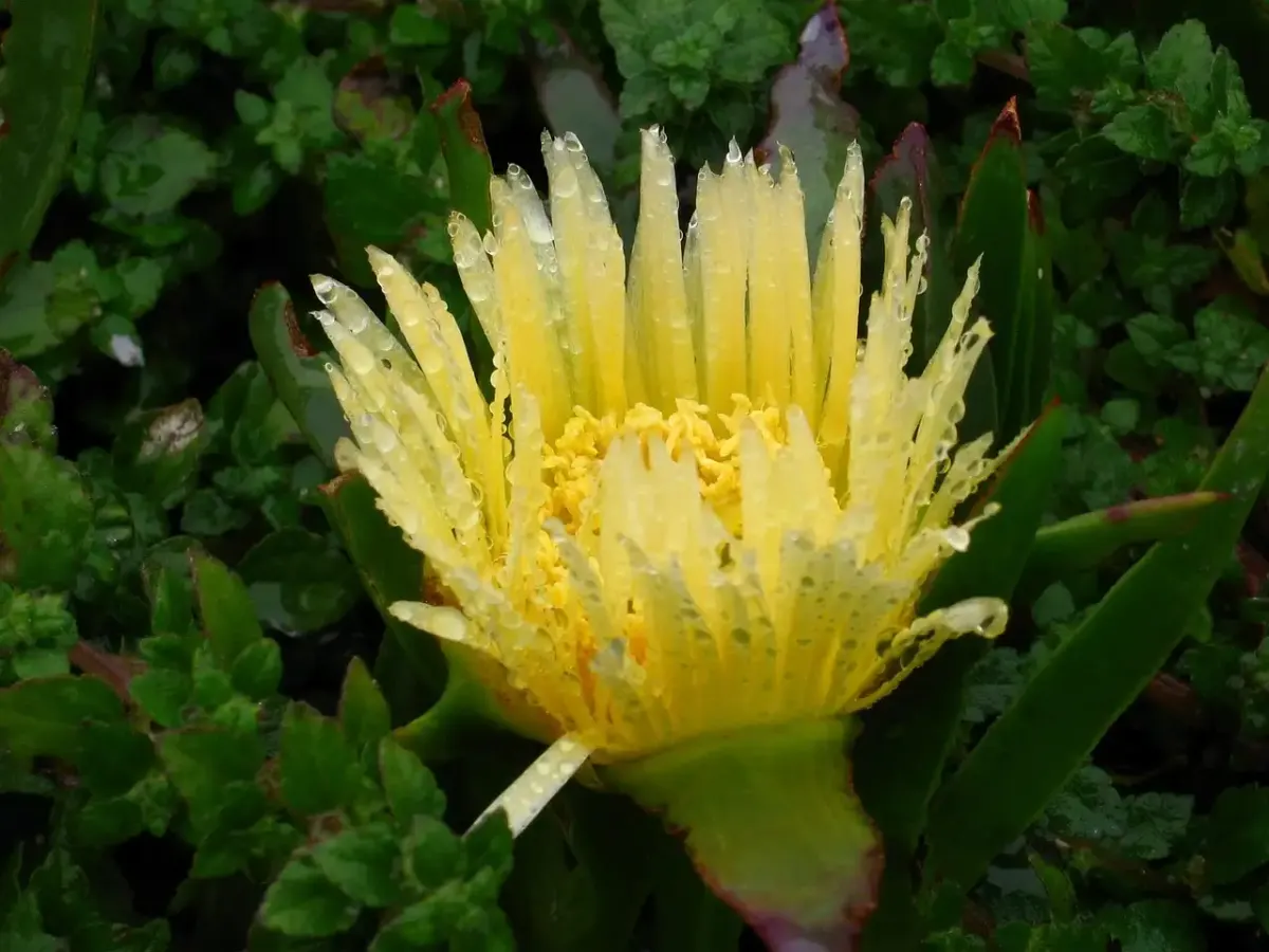 Hecht garten erfahrungen