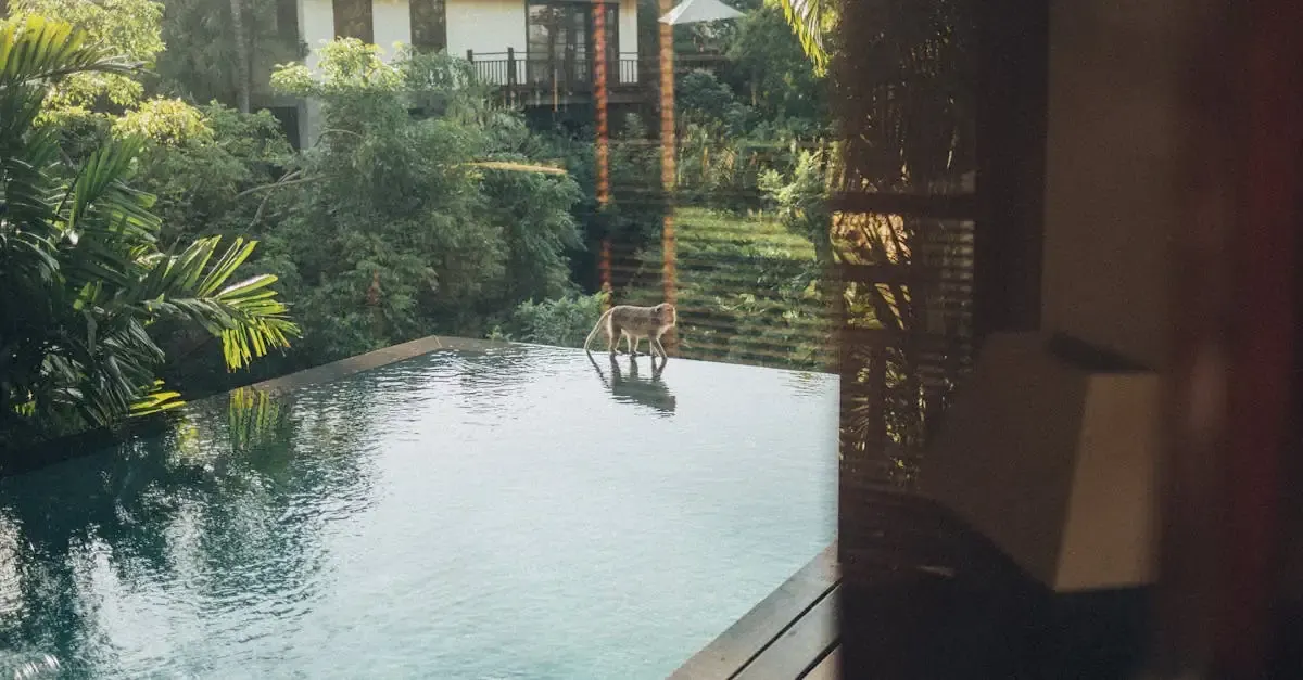 Infinity pool im eigenen garten