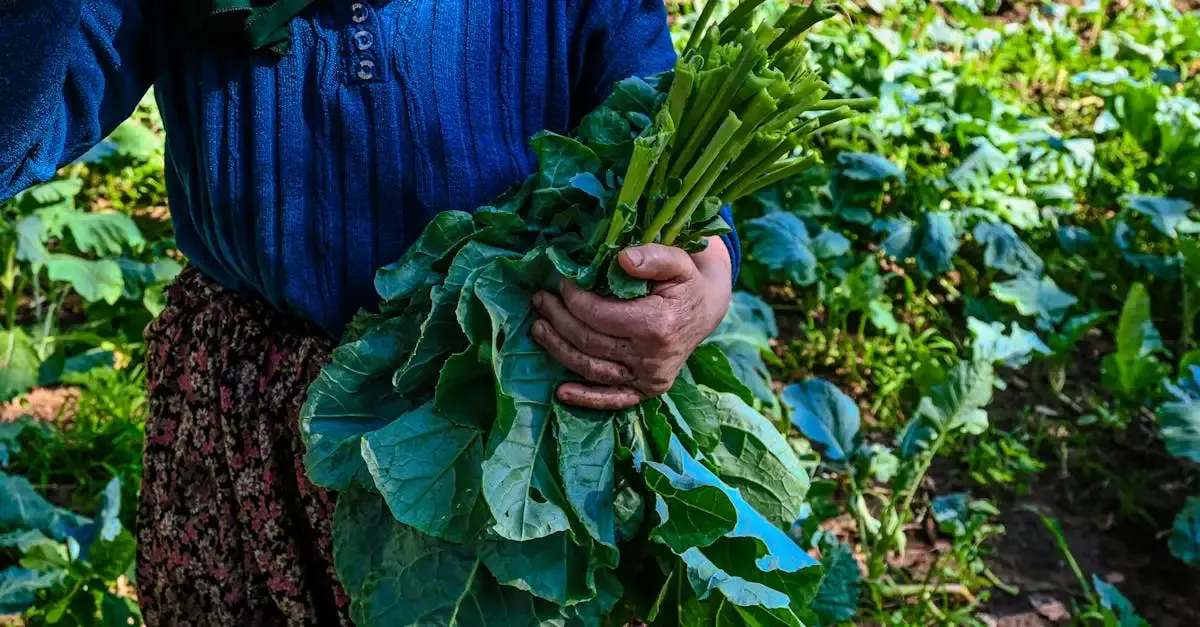 Schwebende Stufen im Garten anlegen: Planung & Design-Tipps