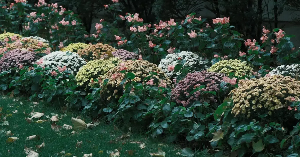 Wie gestalte ich meinen garten neu