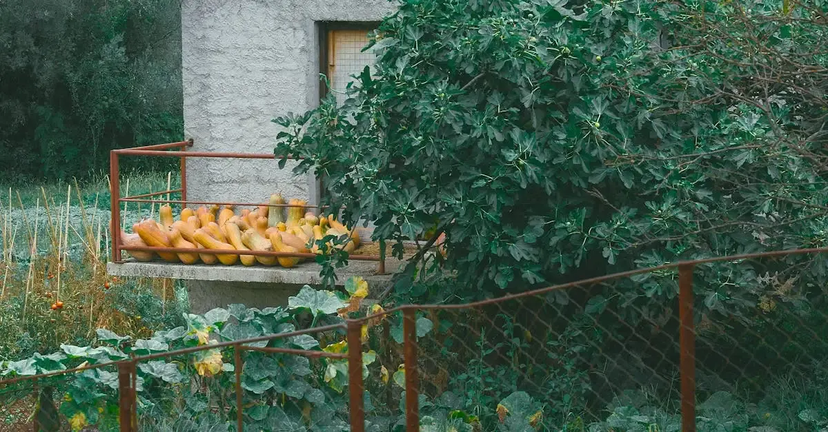 Wohnen und garten träume