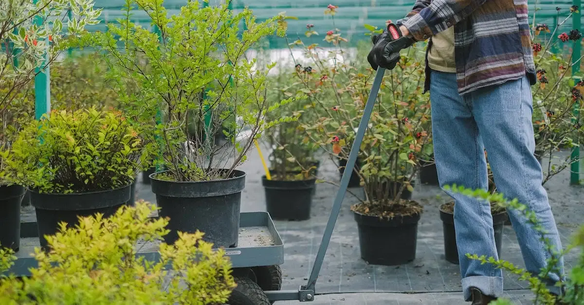 Garten Oberbremer Bünde: Gestaltung und Pflege für Ihr