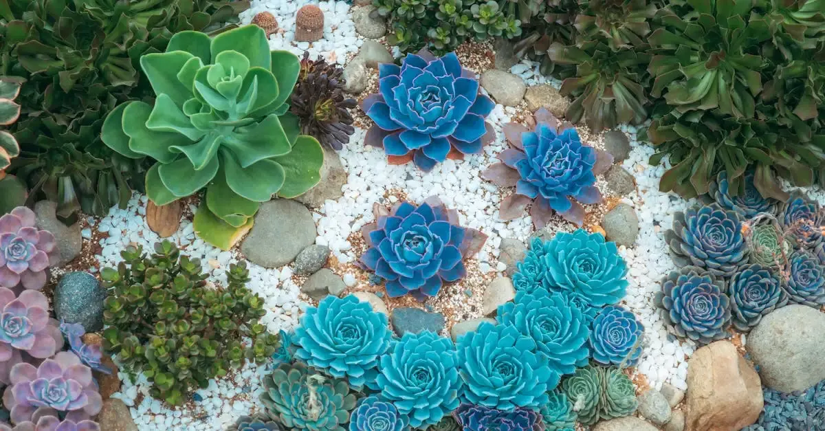 Alternative zu rasen im garten