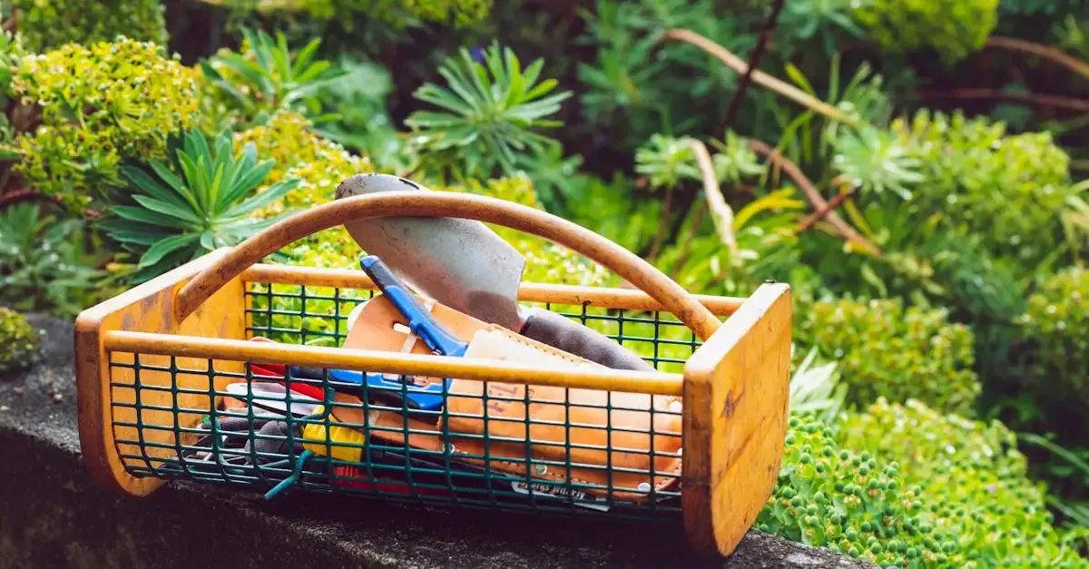 Garten pflegen sträucher schneiden und mehr