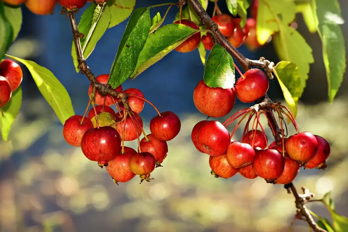 Garten Überdachung für Sitzecke: Stilvoll & Wetterfest