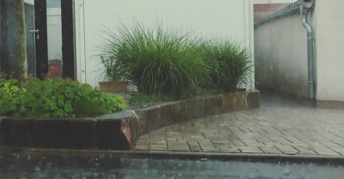 Wasserzisterne für den Garten: Speichern Sie Regenwasser