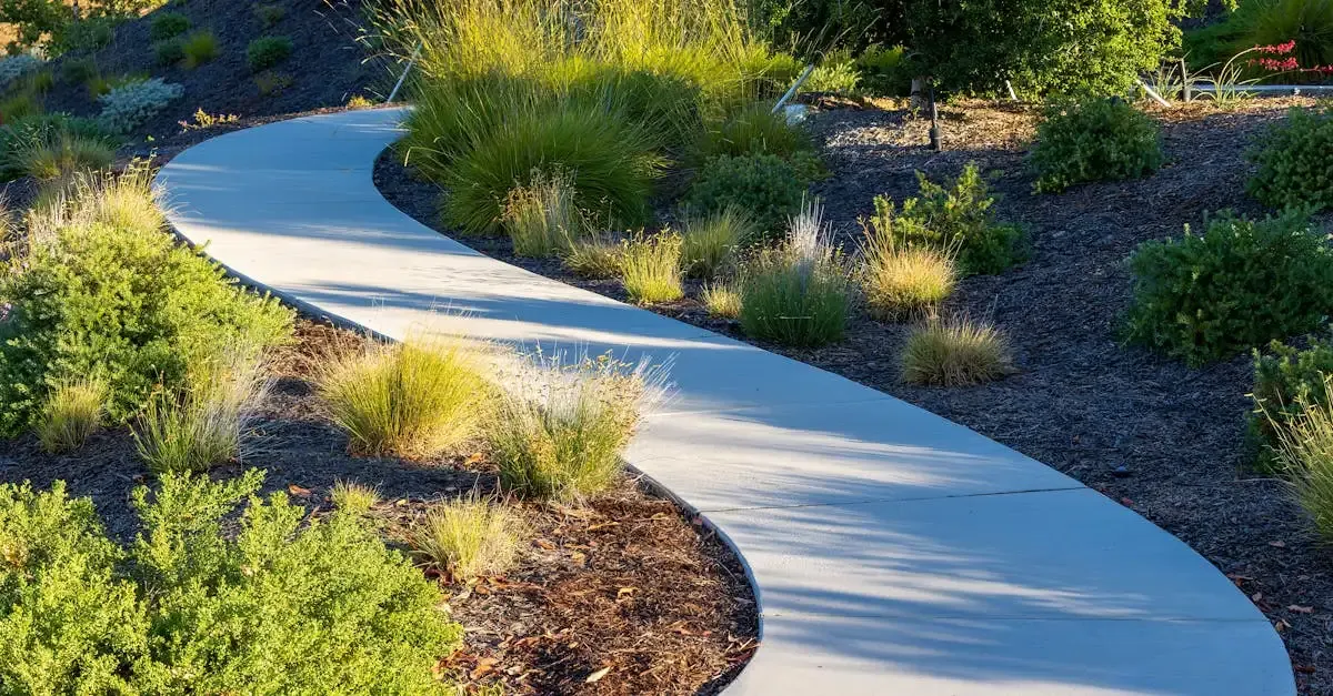 Weiß Grün Garten- und Landschaftsbau: Ihr Experte